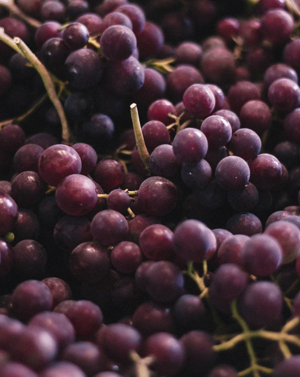 2021er SANDSTEIN Grauburgunder trocken - Weingut Seyffer